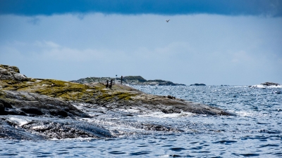 HOLD HAVET RENT-UKE: Fra 14. til 19. september skal mye av kysten ryddes, og Norges Seilforbunds Hold Havet Rent-uke er en viktig del av det hele.