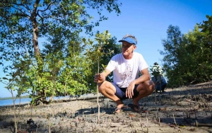 MANGROVETRÆR: For hvert Starboard-brett som blir produsert, sørger Svein Rasmussen for at det blir plantet ti mangrovetrær.